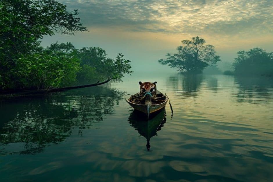 Sundarbans Nature Escape